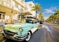 Puzzle 1000: Miami Beach (40908)