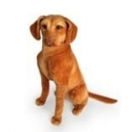 Wyżeł siedzący 44cm