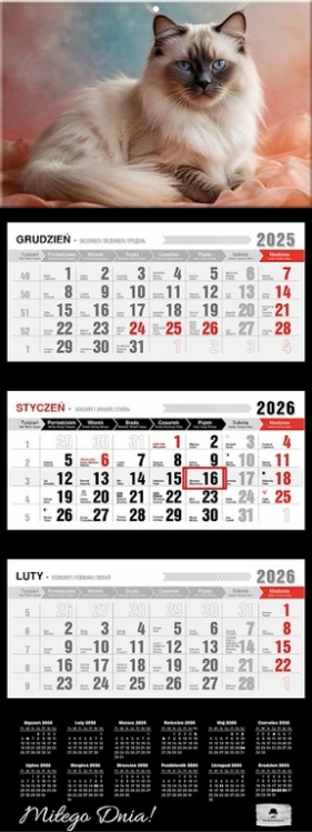 Kalendarz 2026 trójdzielny premium - Kot