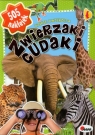  Zwierzaki cudaki Dzikie zwierzęta