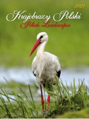 Kalendarz 2021 Krajobrazy Polski