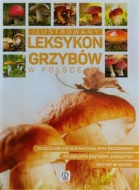 Ilustrowany leksykon grzybów w Polsce - Kamiński Wiesław, Bąk Jolanta