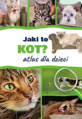 Jaki to kot? Atlas dla dzieci - v. Tittenbrun-Jazienicka Barbara