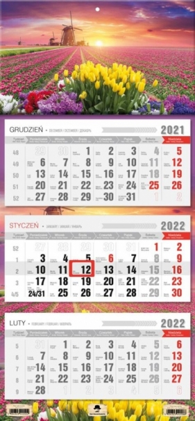 Kalendarz 2022 trójdzielny Tulipany