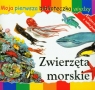 Zwierzęta morskie Moja pierwsza biblioteczka