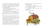 Przygody dzieci z ulicy Awanturników - Astrid Lindgren, Ilon Wikland