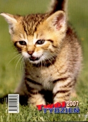 Kalendarz 2007. Twój tydzień biurkowy