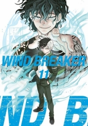 Wind Breaker #11 - Satoru Nii