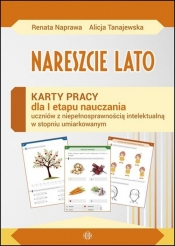 Nareszcie lato Karty pracy sztywna teczka - Renata Naprawa, Alicja Tanajewska