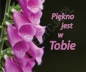 Perełka 155 - Piękno jest w Tobie - Opracowanie zbiorowe
