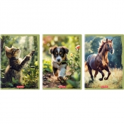 Herlitz, zeszyt A4, 32 kartki w 3-linię - Animals, 1 szt