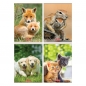 Herlitz, zeszyt A4, 32 kartki w linię podwójną - Animals