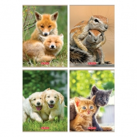 Herlitz, zeszyt A4, 32 kartki w 3-linię - Animals, 1 szt