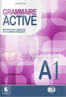 Grammaire Active A1 +audio CD Carine Mercier-Pontec