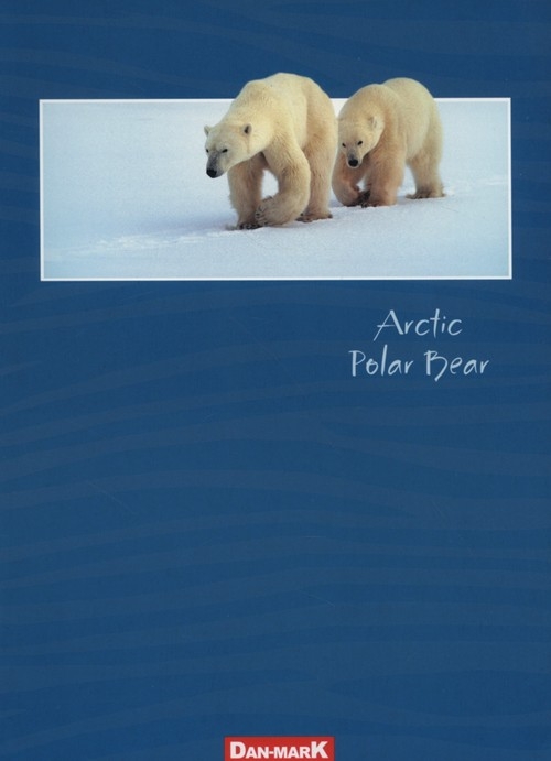 Zeszyt A5 w kratkę 32 kartki Polar Bear 10 sztuk