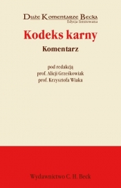 Kodeks karny Komentarz