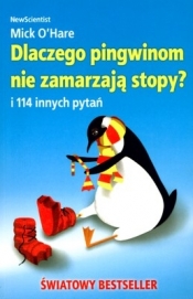 Dlaczego pingwinom nie zamarzają stopy