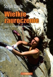 Wielkie zauroczenie - Stephen Davis