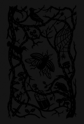 Okrutny książę. Tom 1. Wydanie specjalne - Holly Black