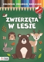 Koloruję, znajduję, naklejam. Zwierzęta w lesie - Monika Majewska