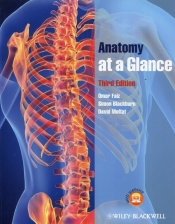 Anatomy at a Glance - Blackburn Simon