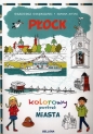 Płock Kolorowy portret Miasta - Grzegorz Gołębiewski, Joanna Myjak
