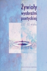 Żywioły wyobraźni poetyckiej XIX i XX wieku