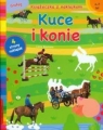 Kuce i konie Książeczka z naklejkami 4-7 lat Boumans Lieve