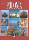 POLSKA WER. HISZPAŃSKA ROMAN MARCINEK