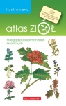 Ilustrowany atlas ziół Przegląd popularnych roślin leczniczych Grzędzicka Emilia