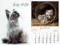 Kalendarz 2026 ścienny Koty