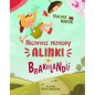 Niezwykłe przygody Alinki w Brakolandii - Halyna Malyk