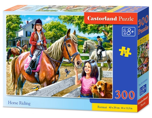 Puzzle Horse Riding 300 (B-030095)