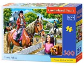 Puzzle Horse Riding 300 (B-030095)