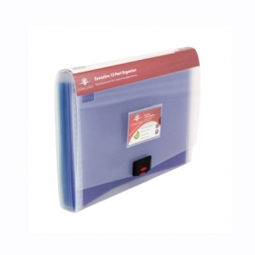 Teczka Pukka Pad z 13 przegrodkami przezroczysta 7109-PFL