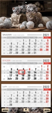 Kalendarz 2022 trójdzielny Kotki