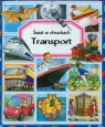 Transport. Świat w obrazkach  Émilie Beaumont