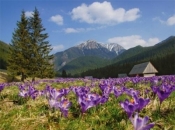 Kalendarz 2021 Tatry trójdzielny RADWAN