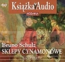 Sklepy cynamonowe Bruno Schulz