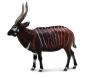 Antylopa Bongo XL (88809)
