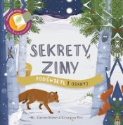 Sekrety Zimy. Podświetl i Odkryj - Carron Brown