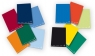 Zeszyt A5 Pigna Monocromo 42 kartki w linie mix kolorów