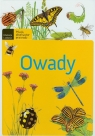 Owady