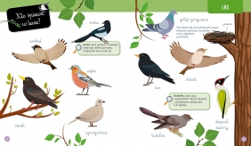 Wielka księga przyrody. Montessori: poznaję świat - Laurence Georges