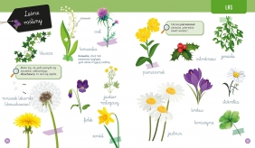 Wielka księga przyrody. Montessori: poznaję świat - Laurence Georges