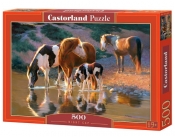 Puzzle Night Cap 500 elementów (52097)