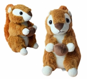 Wiewiórka z orzeszkiem