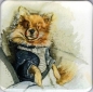 Magnes FM253 Pies Molly