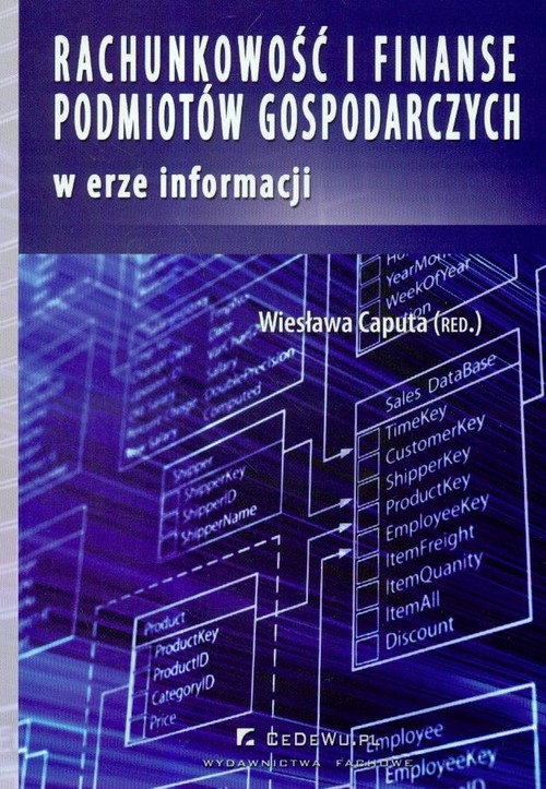 Rachunkowość i finanse podmiotów gospodarczych w erze informacji