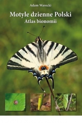 Motyle dzienne Polski. Atlas bionomii TW - Adam Warecki